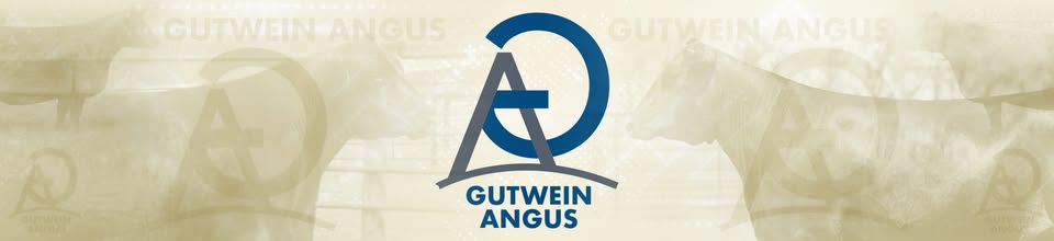Gutwein Angus